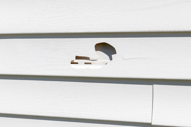 Best Fiber Cement Siding Installation  in Ramblewood, NJ