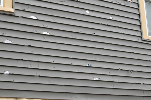 Best Storm Damage Siding Repair  in Ramblewood, NJ